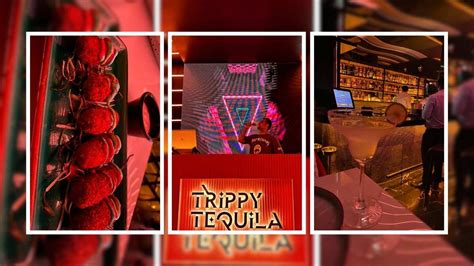 Trippy Tequila, Gurugram